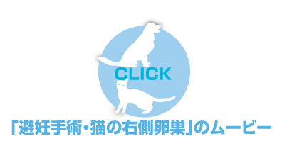 避妊手術