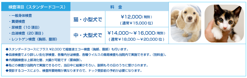 わんにゃんドッグ料金表
